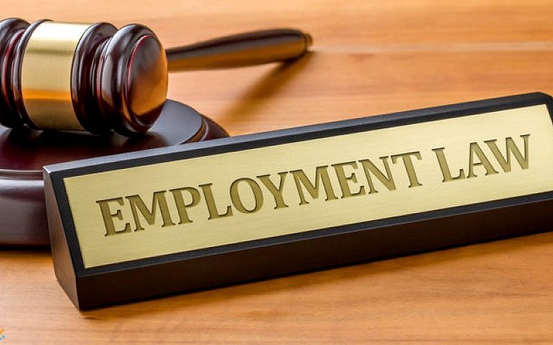 Comprehensive Understanding of The Employment Act and Its Practical Applications